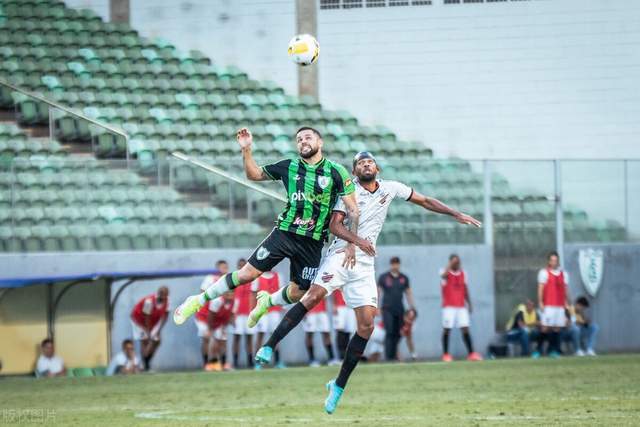 今年会下载